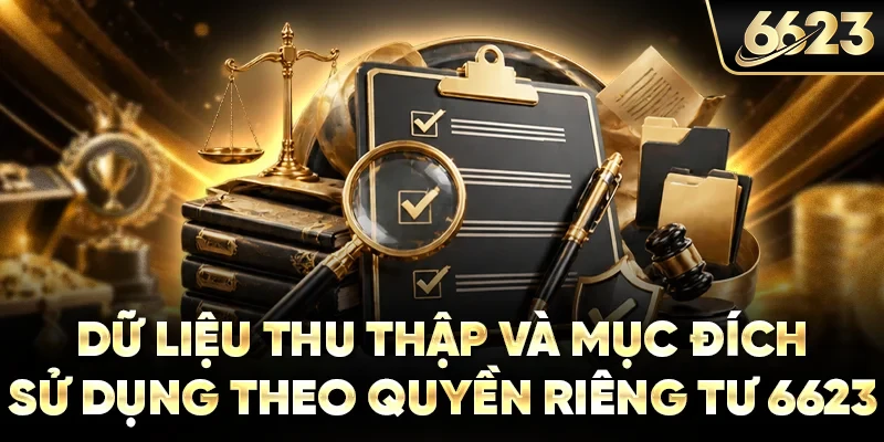 Dữ liệu thu thập và mục đích sử dụng theo quyền riêng tư 6623
