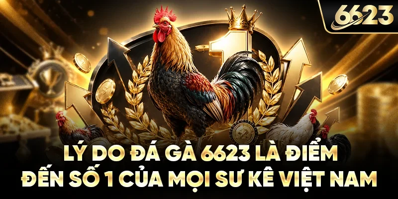 Lý do đá gà 6623 là điểm đến số 1 của mọi sư kê Việt Nam